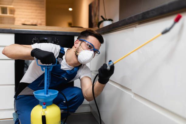 Best Commercial Pest Control Services  in Cortland, OH