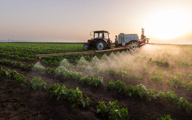 Best Mosquito Control Services  in Cortland, OH
