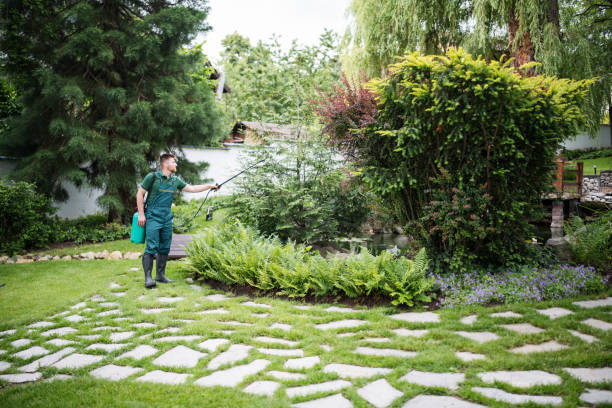 Best Exterminator Services  in Cortland, OH