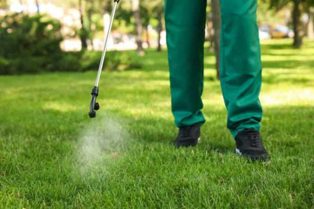 Best Affordable Pest Control Services  in Cortland, OH