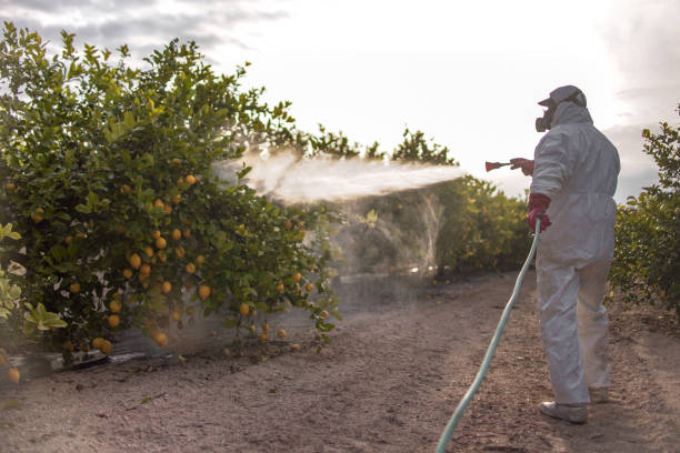 Best Best Pest Control Companies  in Cortland, OH
