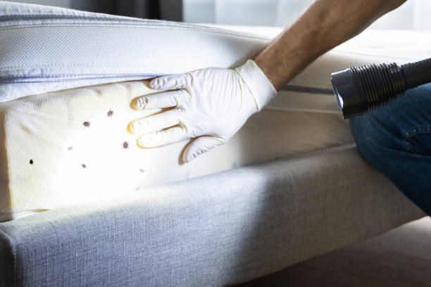Pest Control Cost in Cortland, OH