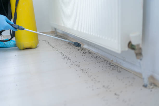 Best Pest Removal Services  in Cortland, OH