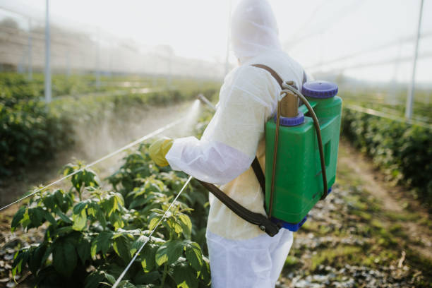 Best Ant Control Services  in Cortland, OH